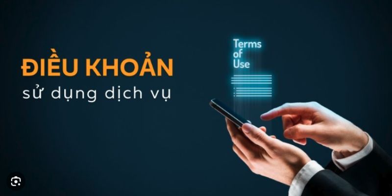 Câu hỏi thường gặp về điều khoản điều kiện 